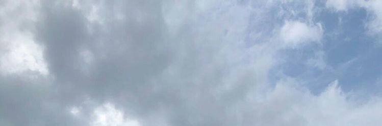 bernociIli's profile banner image