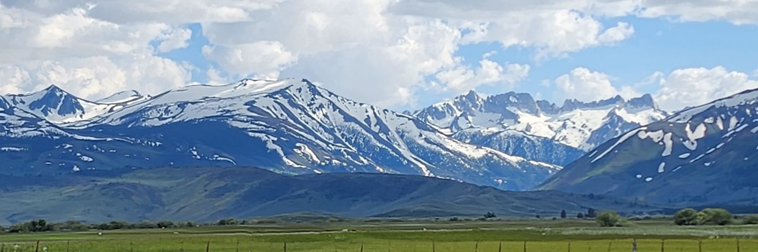 Rugbymanz's profile banner image