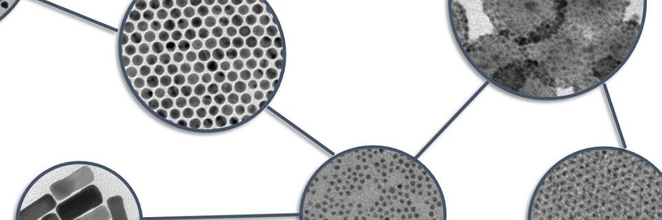 lucia_curri banner