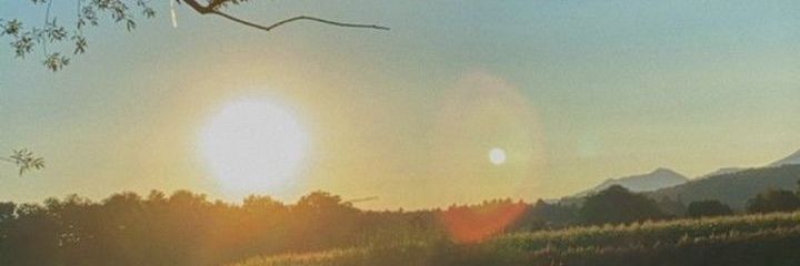annisa_dr1's profile banner image