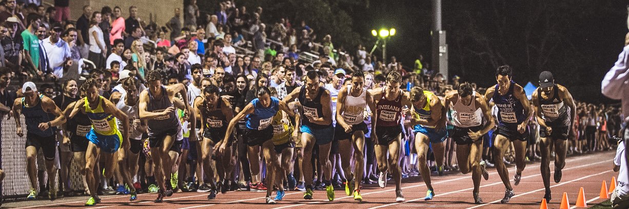 Michael Roeger banner