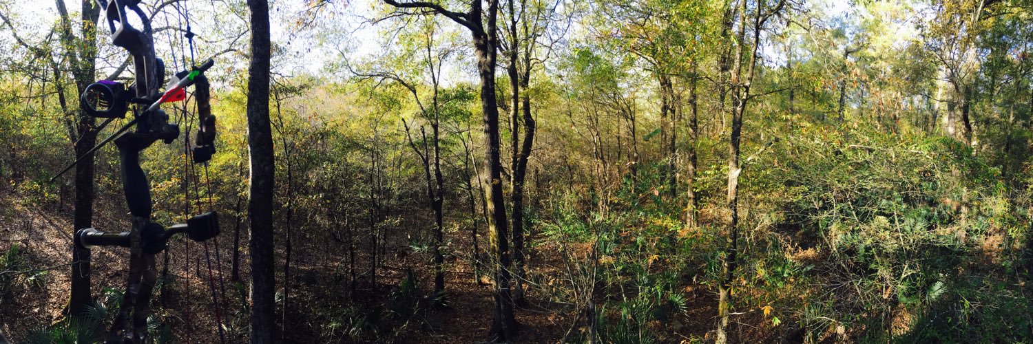 MuleBow's profile banner image