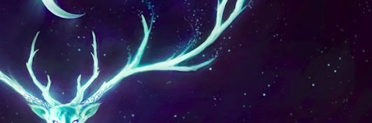 nurhidayat46's profile banner image