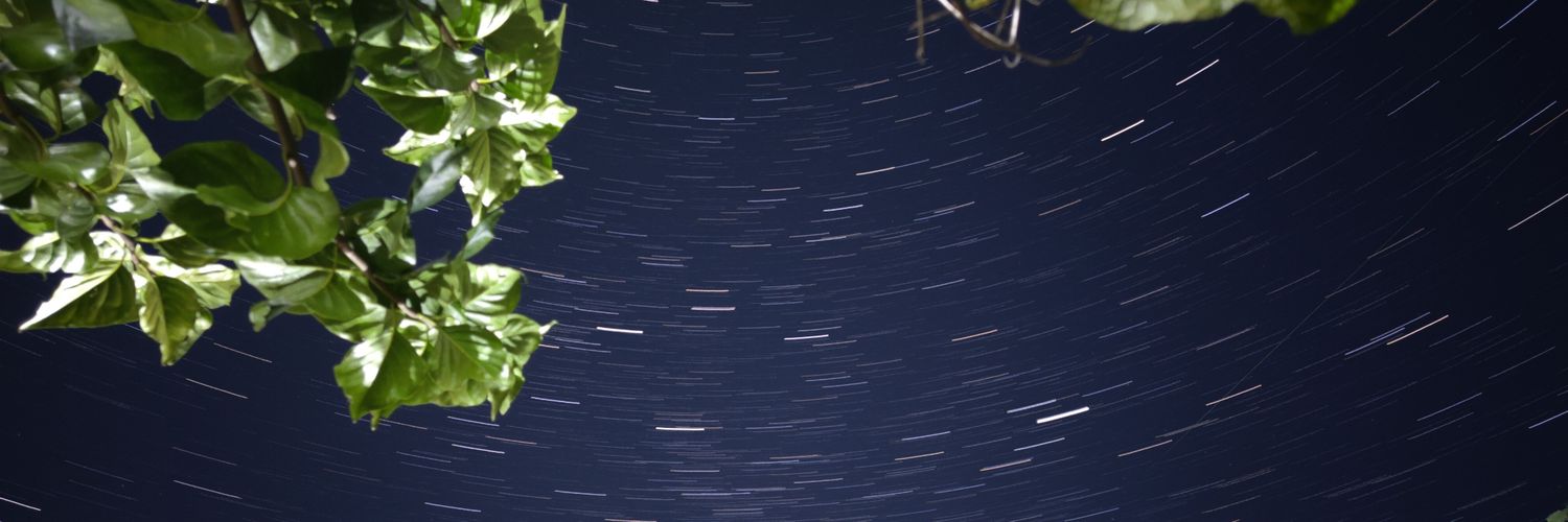 zantimagi's profile banner image