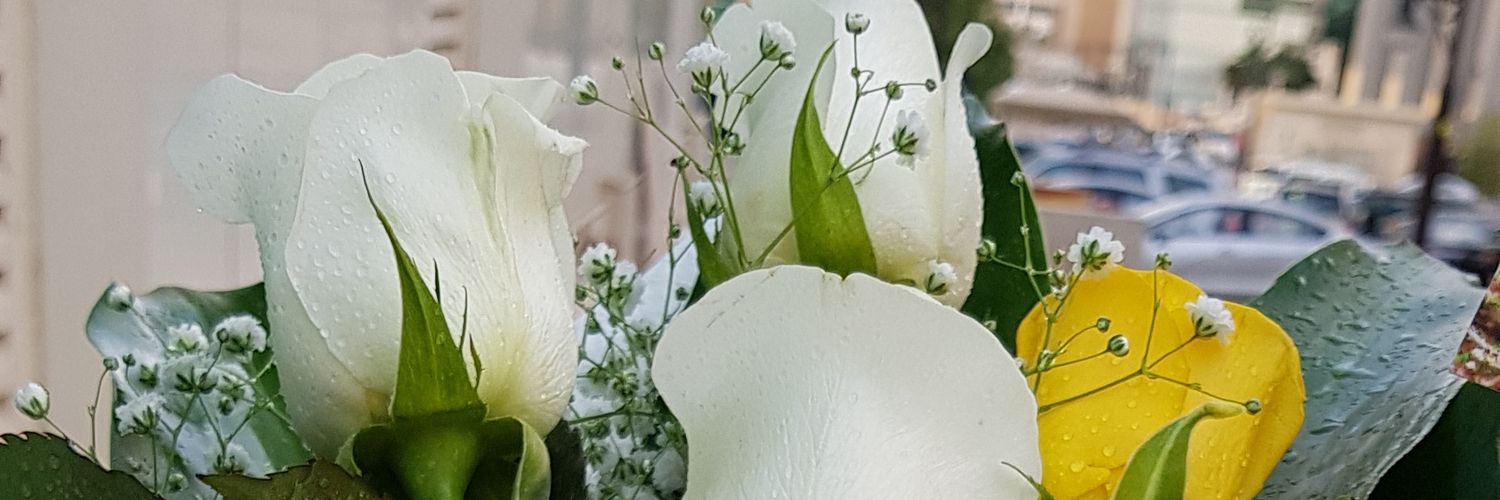 al_mky's profile banner image