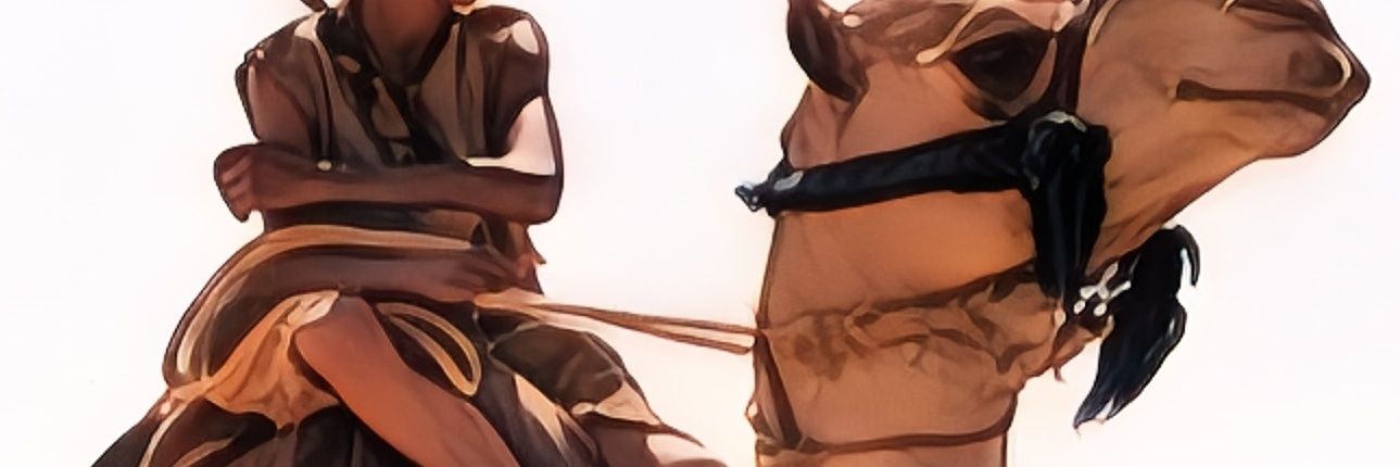 ~ banner