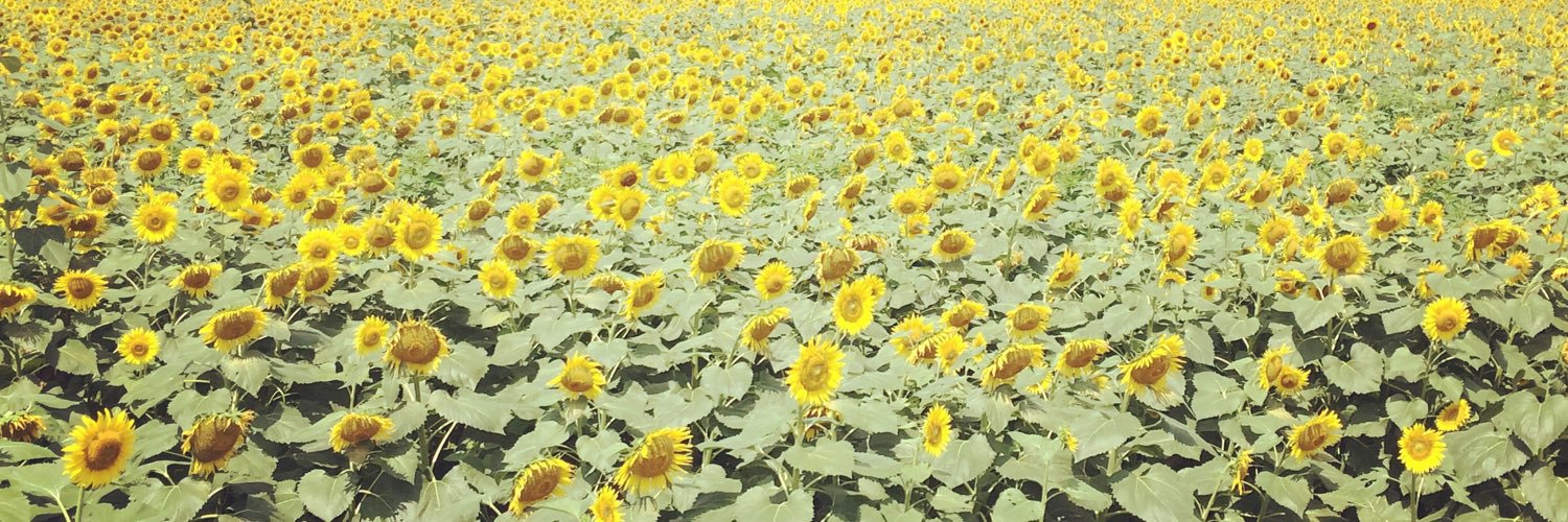 cheeeeeerry_7's profile banner image