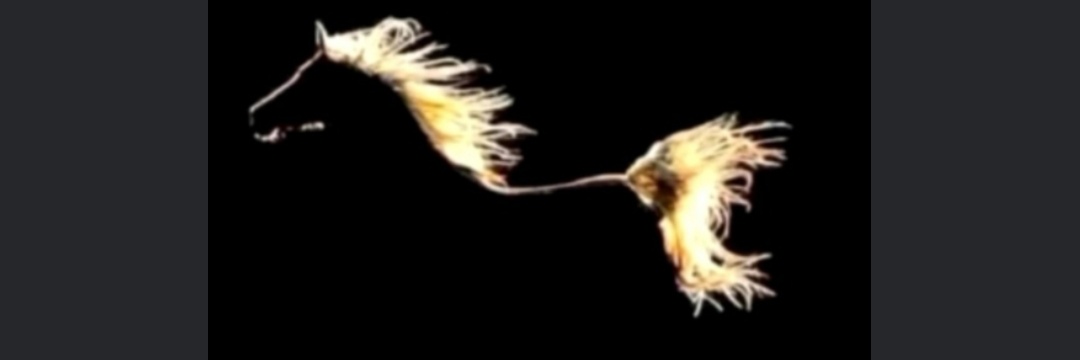 ladyduk27's profile banner image