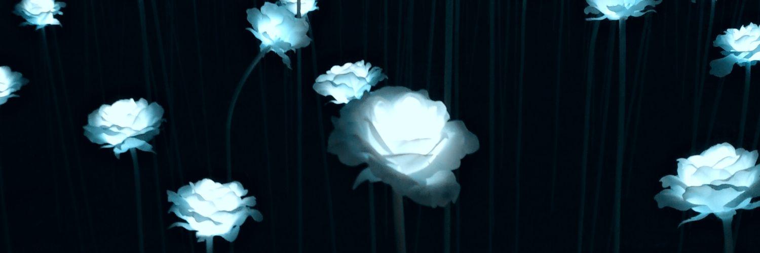 ruddms9794's profile banner image