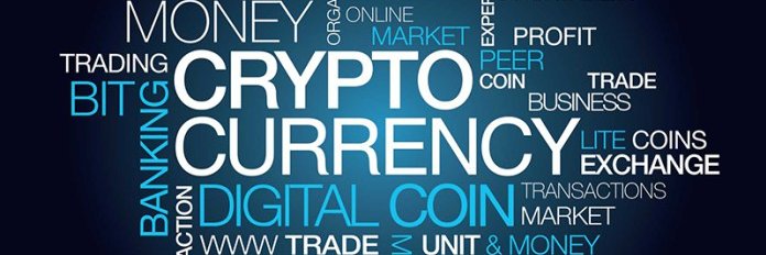 cryptoari's profile banner image