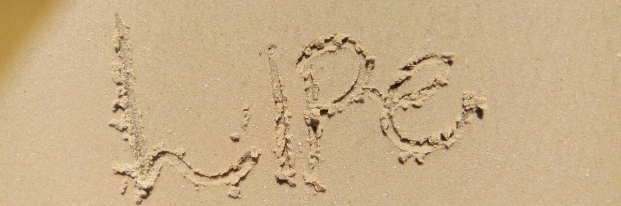 felidrigues's profile banner image