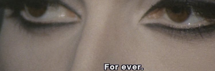 kit_vicious's profile banner image