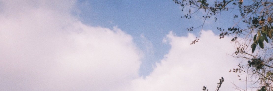 *🌻 ρяæρℓσу｡*🐻ꔛ banner