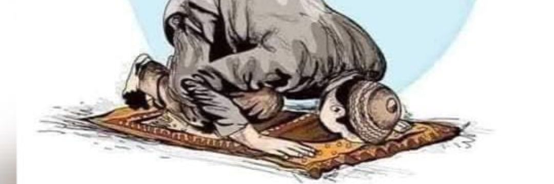 tahamomer's profile banner image