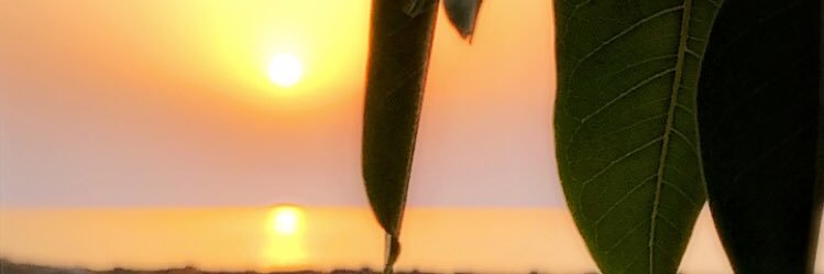 kadialotaibi's profile banner image