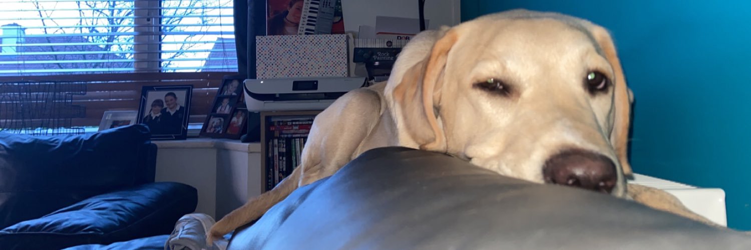 chloeehancock's profile banner image