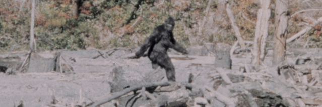 BillyOpeck's profile banner image