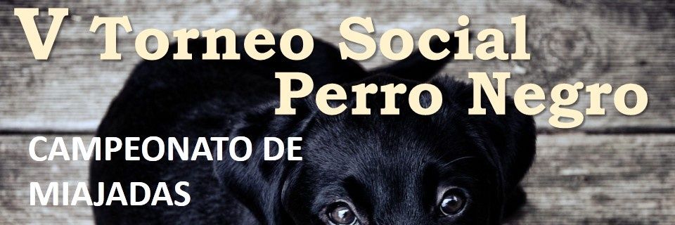 PCMiajadas's profile banner image