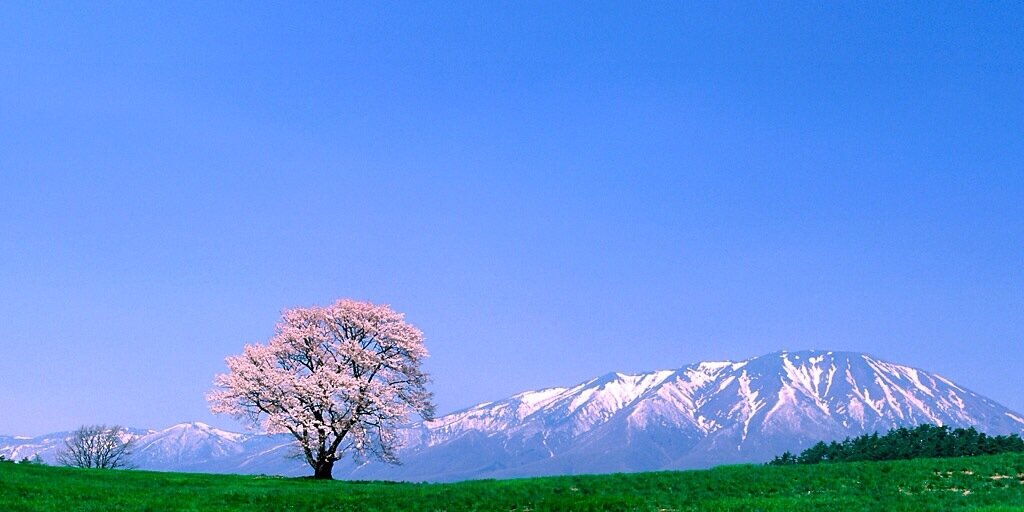 SarithKeo's profile banner image