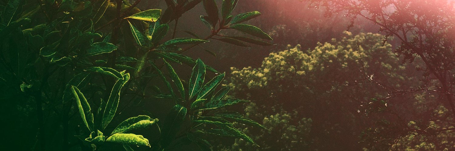 blond_fath's profile banner image