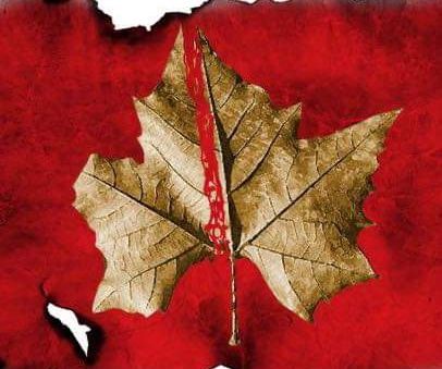 Reema Asnani ریما اسنانی banner