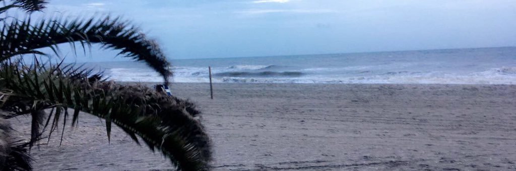 lilsweetthing's profile banner image