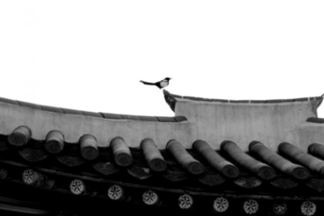 ojin1730's profile banner image