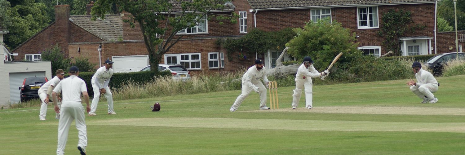 WelwynBees's profile banner image