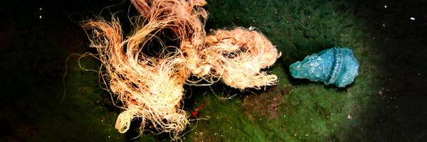 EvelioOliva Profile Banner