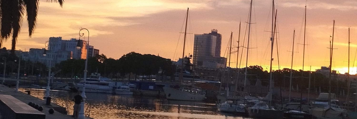 SoniadelFaces banner