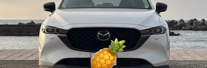 Wood_riM's profile banner image
