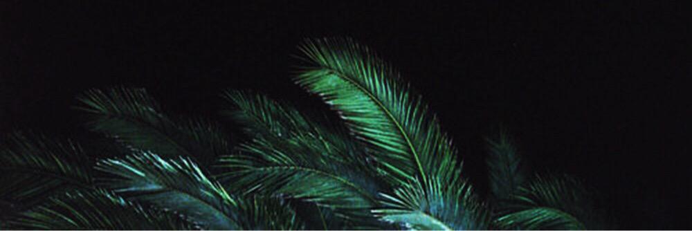 heavendrxw's profile banner image