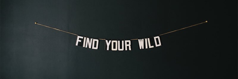 ericabmckenna's profile banner image
