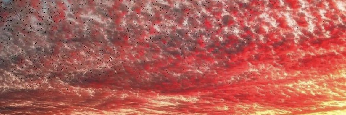 Lauris_7's profile banner image