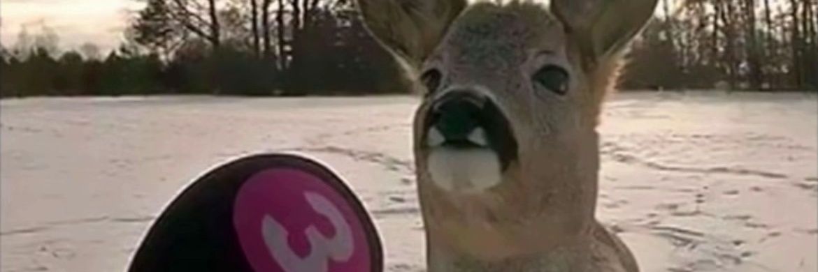 TheHe5o_0's profile banner image