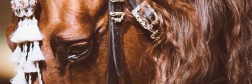 إبتسام banner