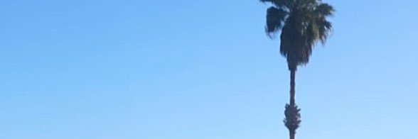 MCMXCVI__'s profile banner image