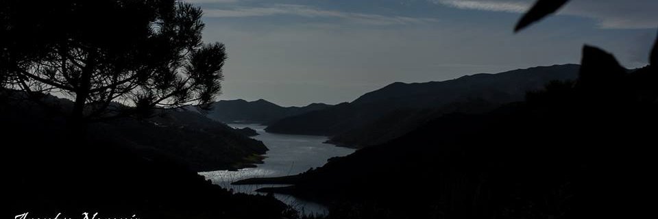 Alvaro banner