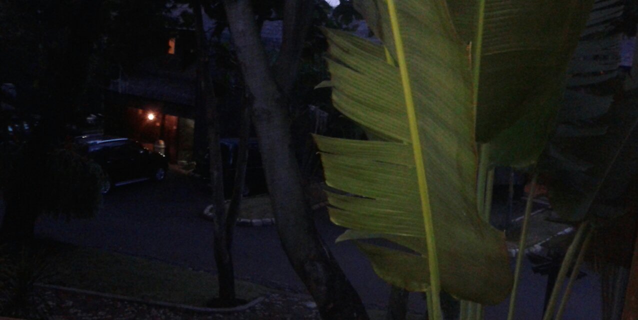 WiidPuji's profile banner image