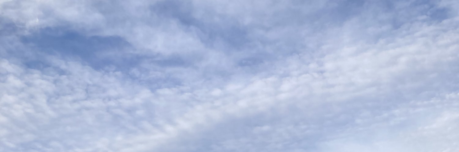 esra_onat's profile banner image