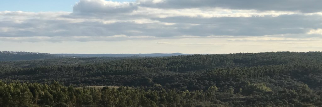 cj_pedro's profile banner image