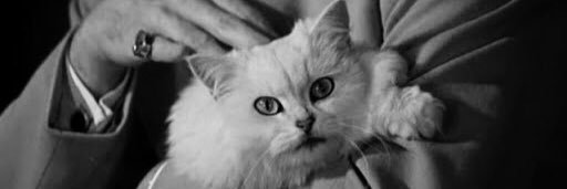 serimcetin's profile banner image