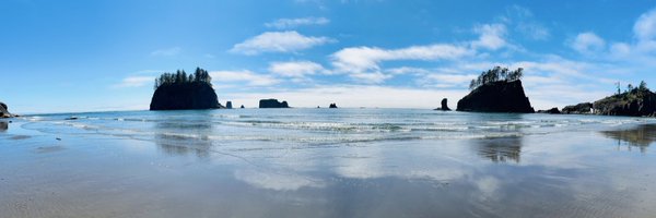 weiyanReprod Profile Banner