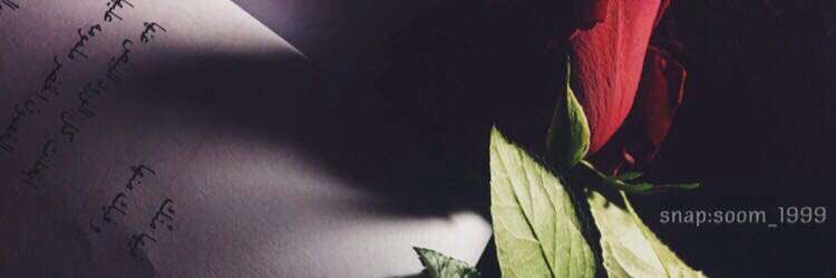 mnoyah's profile banner image
