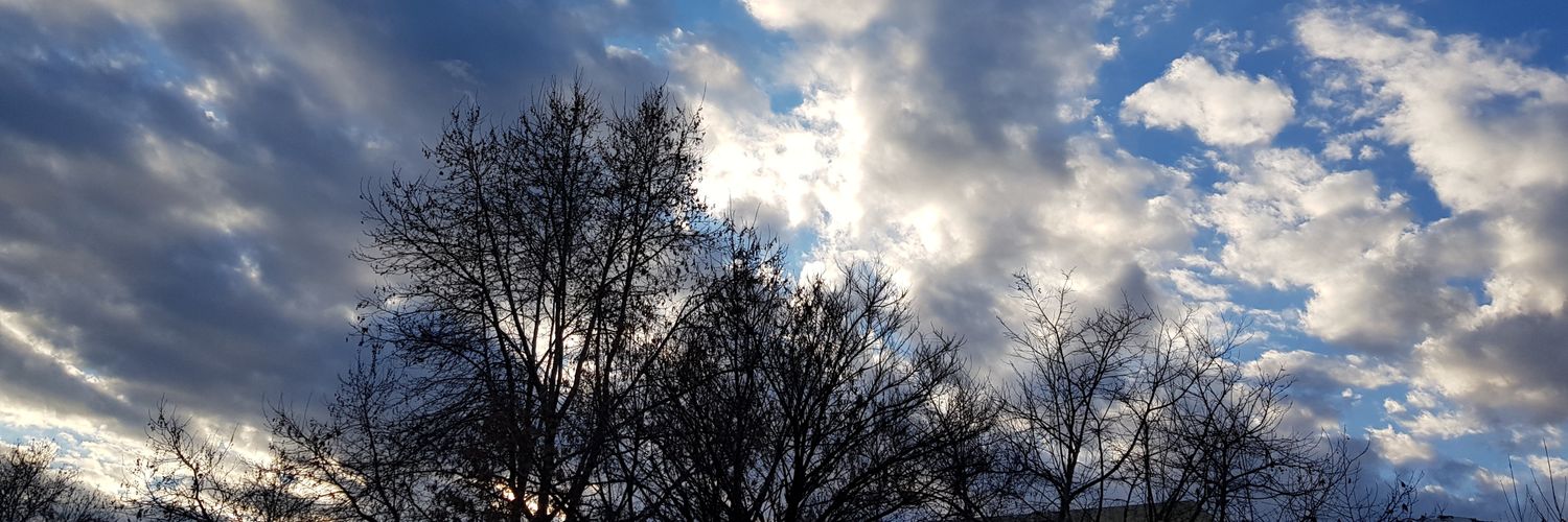 İsmail Şaban Taş banner