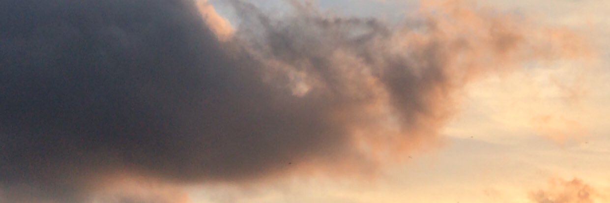 Monicamalaeb's profile banner image