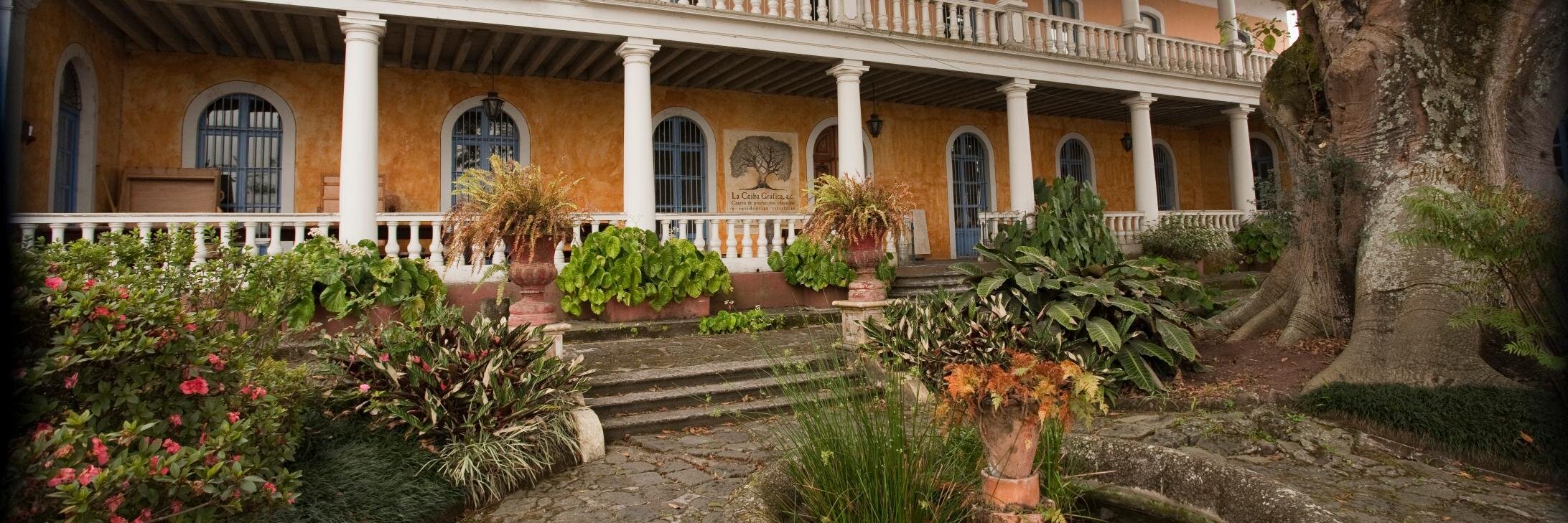 La Ceiba Gráfica banner