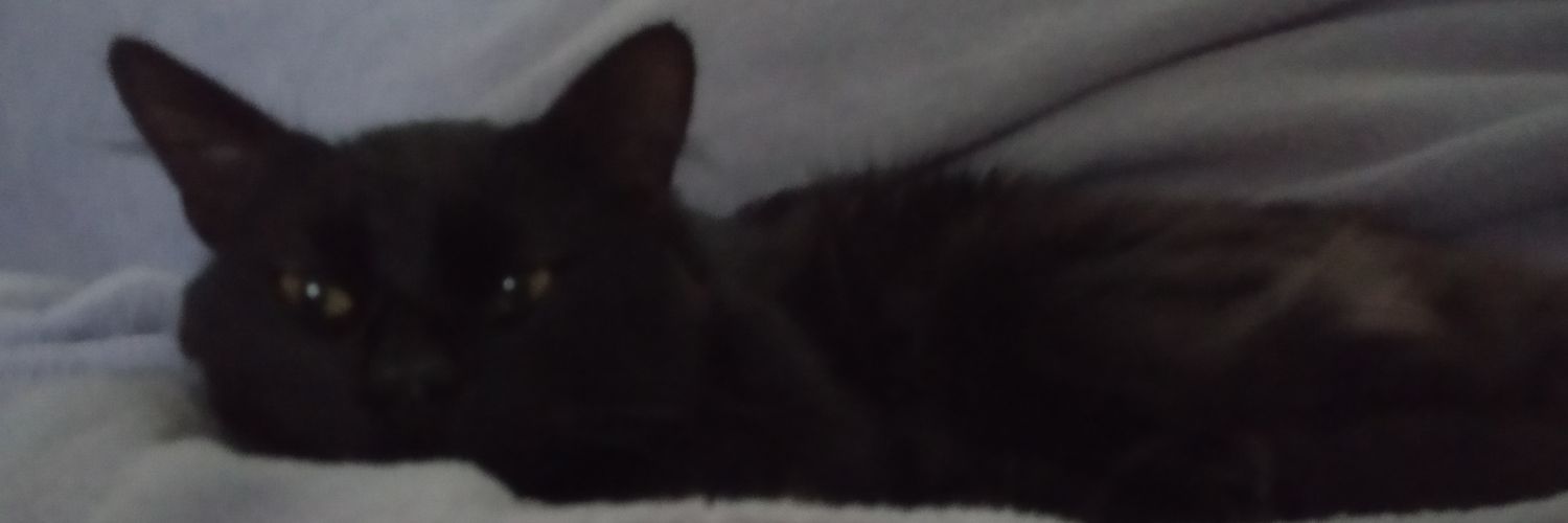 thelmacolman's profile banner image