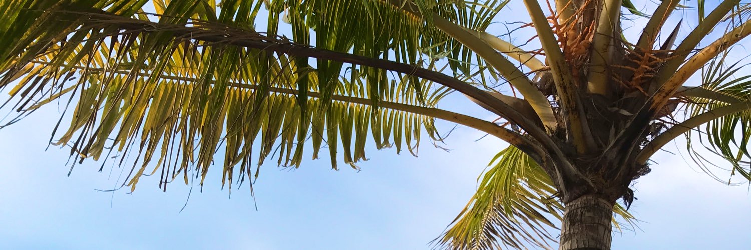 fadhilaakbar's profile banner image