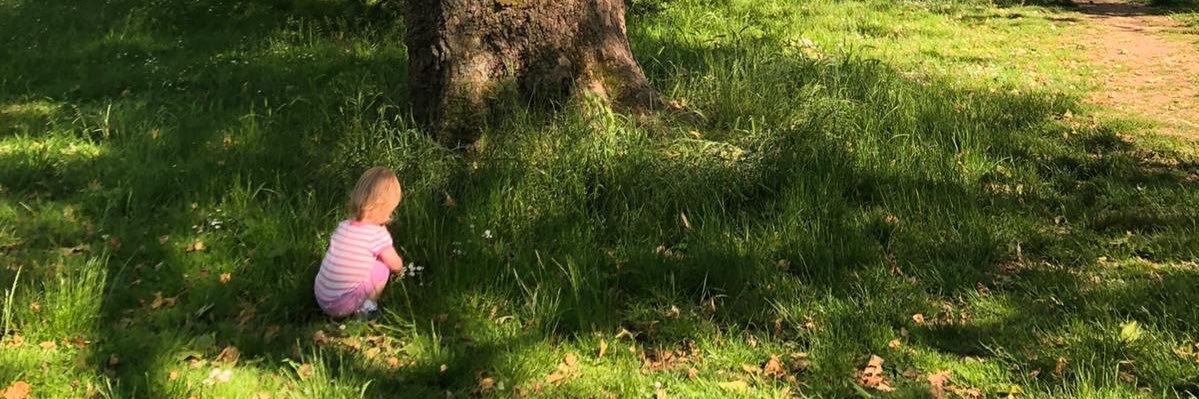 TomCooney's profile banner image